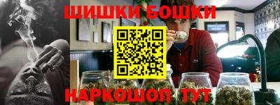 индика Краснознаменск