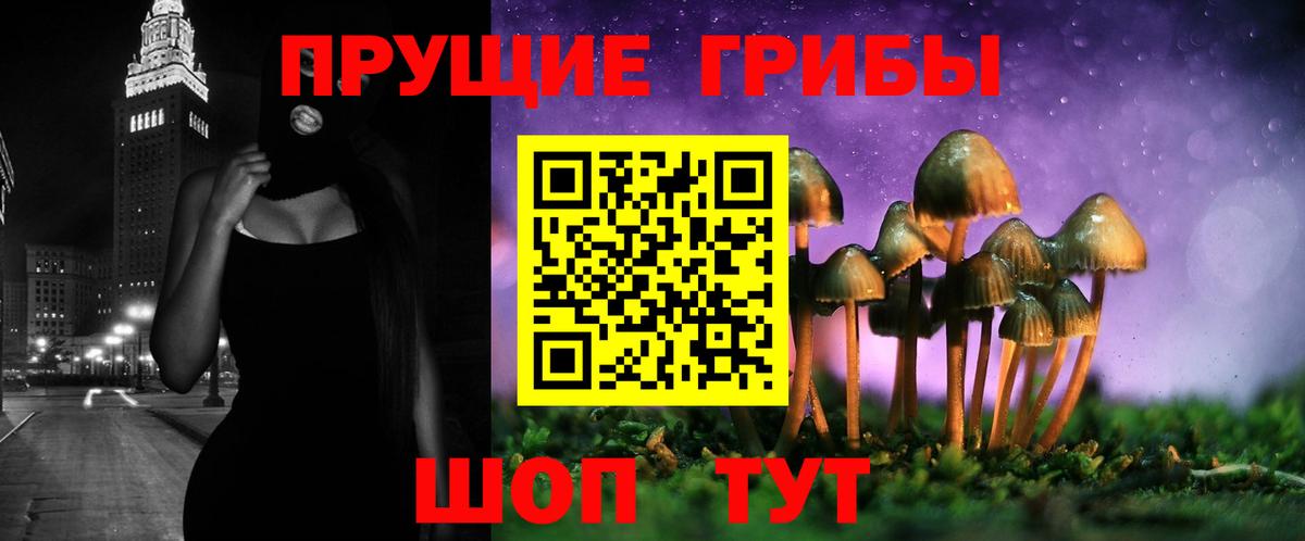 Псилоцибиновые грибы GOLDEN TEACHER Керчь